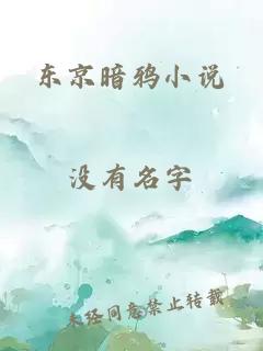 东京暗鸦小说