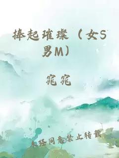 捧起璀璨（女S男M）