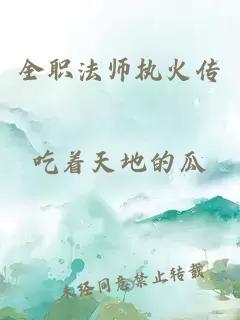 全职法师执火传