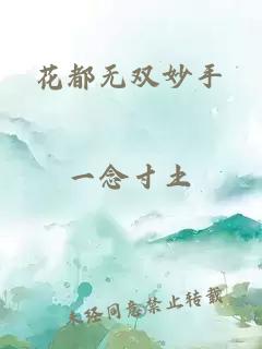 花都无双妙手