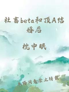 社畜beta和顶A结婚后