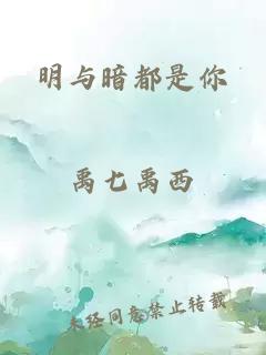 明与暗都是你