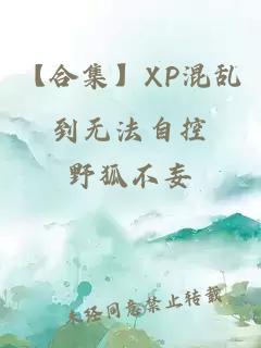 【合集】XP混乱到无法自控