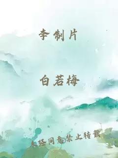 李制片