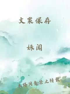 文案保存