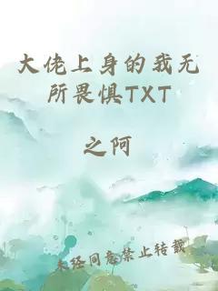 大佬上身的我无所畏惧TXT